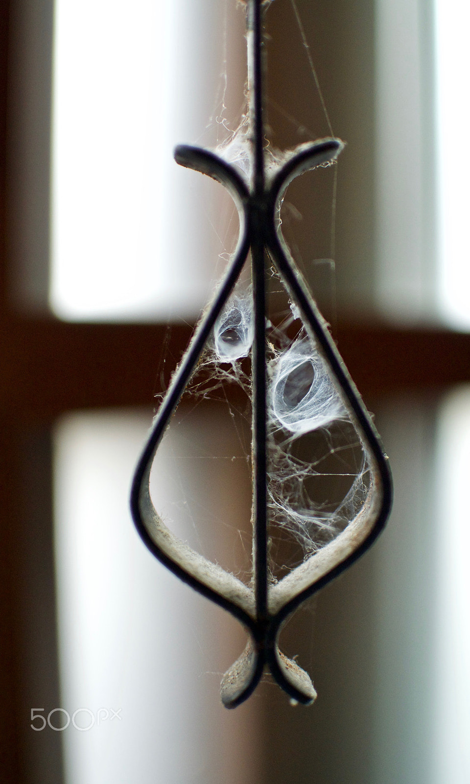 Nikon 1 J2 sample photo. Cobwebs photography