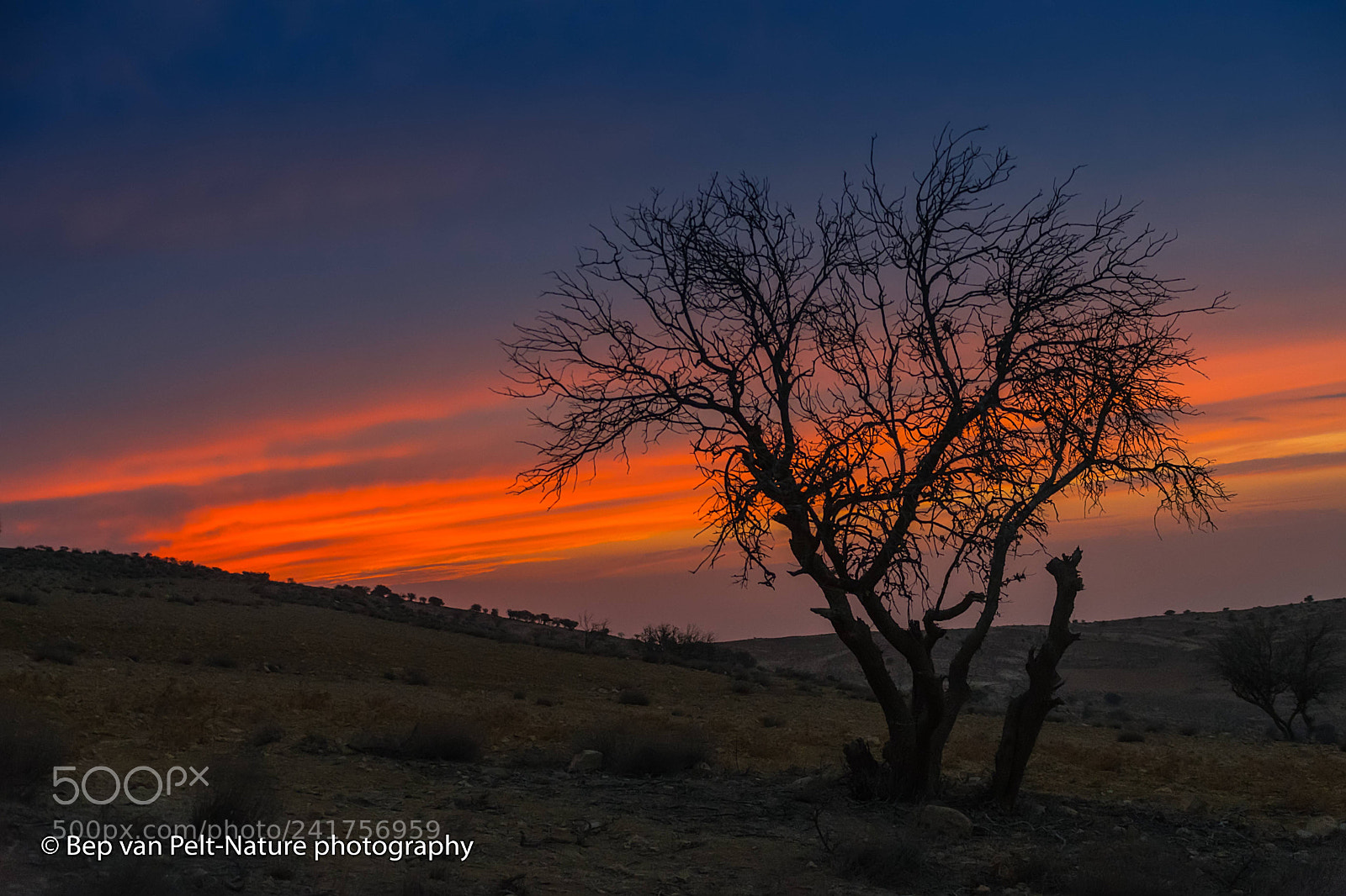 Nikon D500 sample photo. Jordan highlands near petra photography