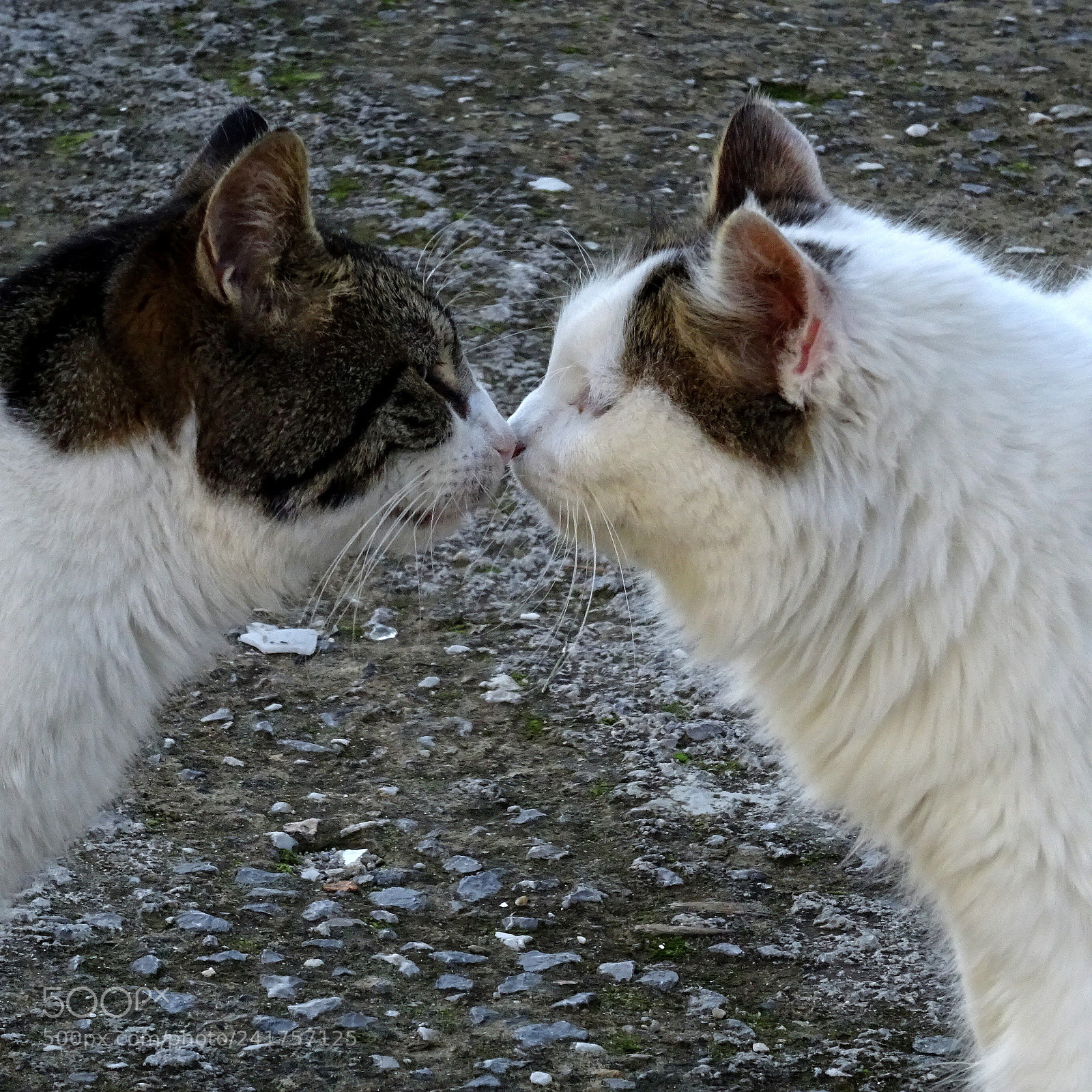 Sony DSC-HX60V sample photo. Close your eyes just photography