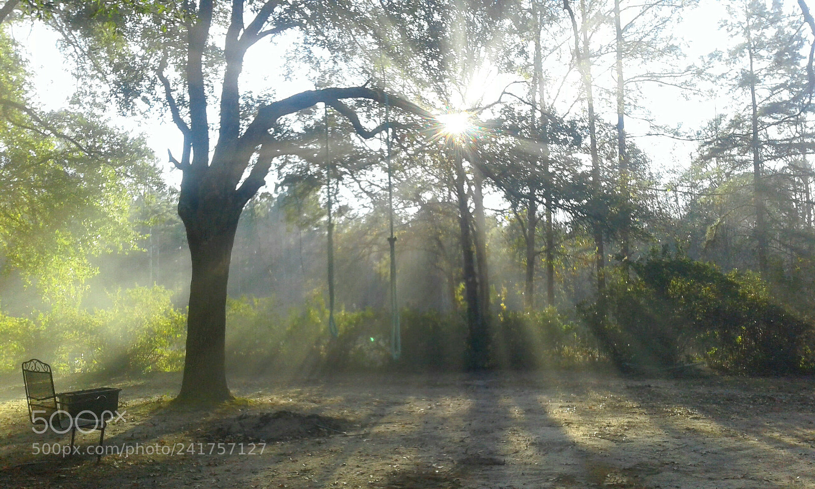 Samsung Galaxy J1 sample photo. Rays of sun photography