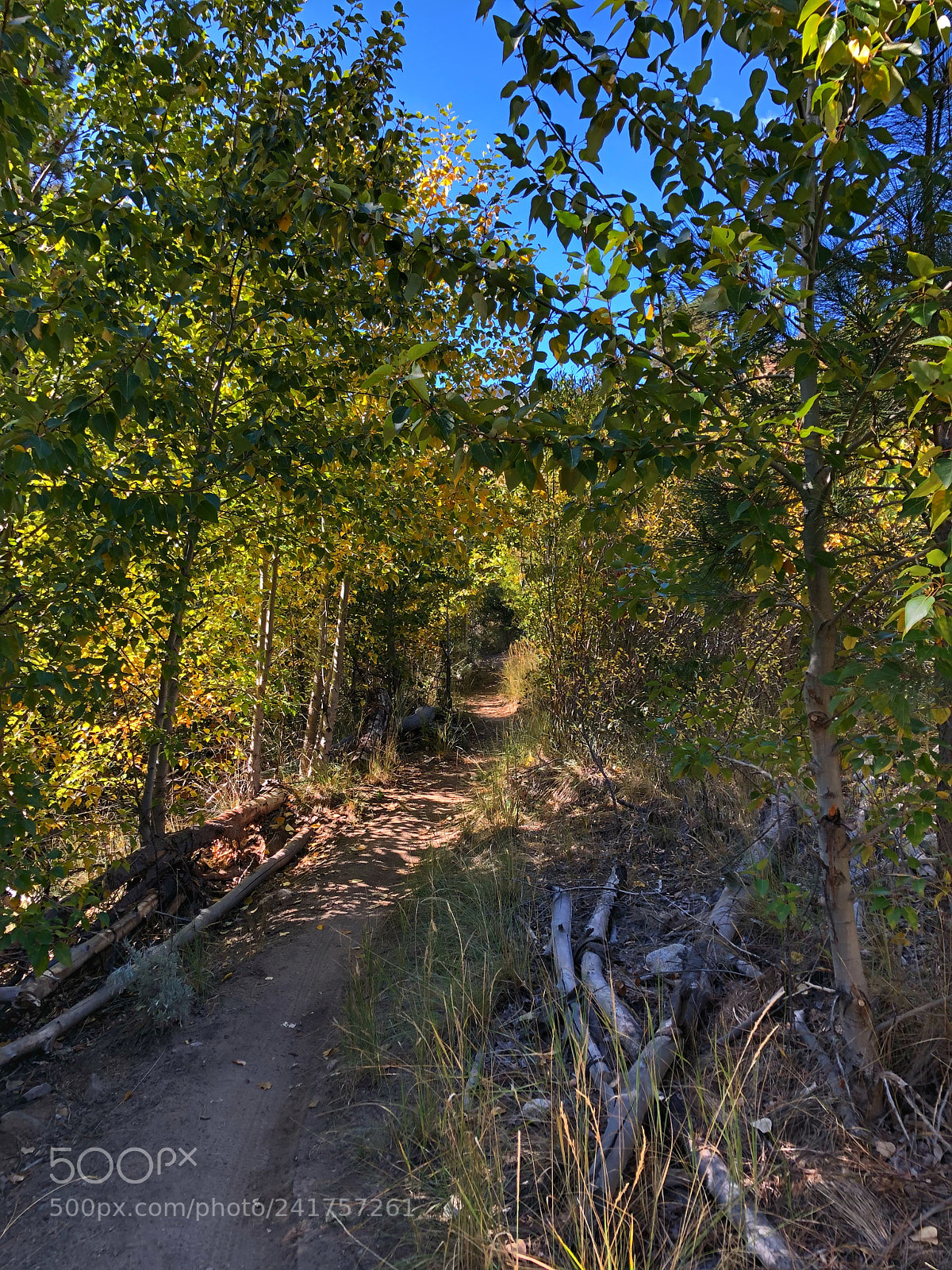 Apple iPhone 8 Plus sample photo. Ash canyon trail, carson photography
