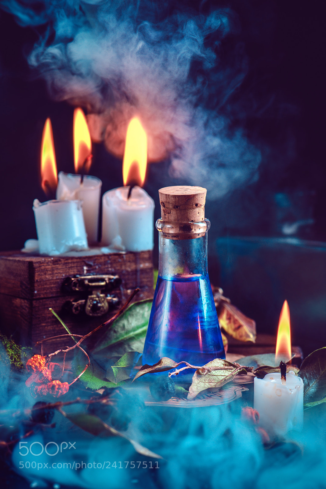 Nikon D800 sample photo. Magical still life with photography