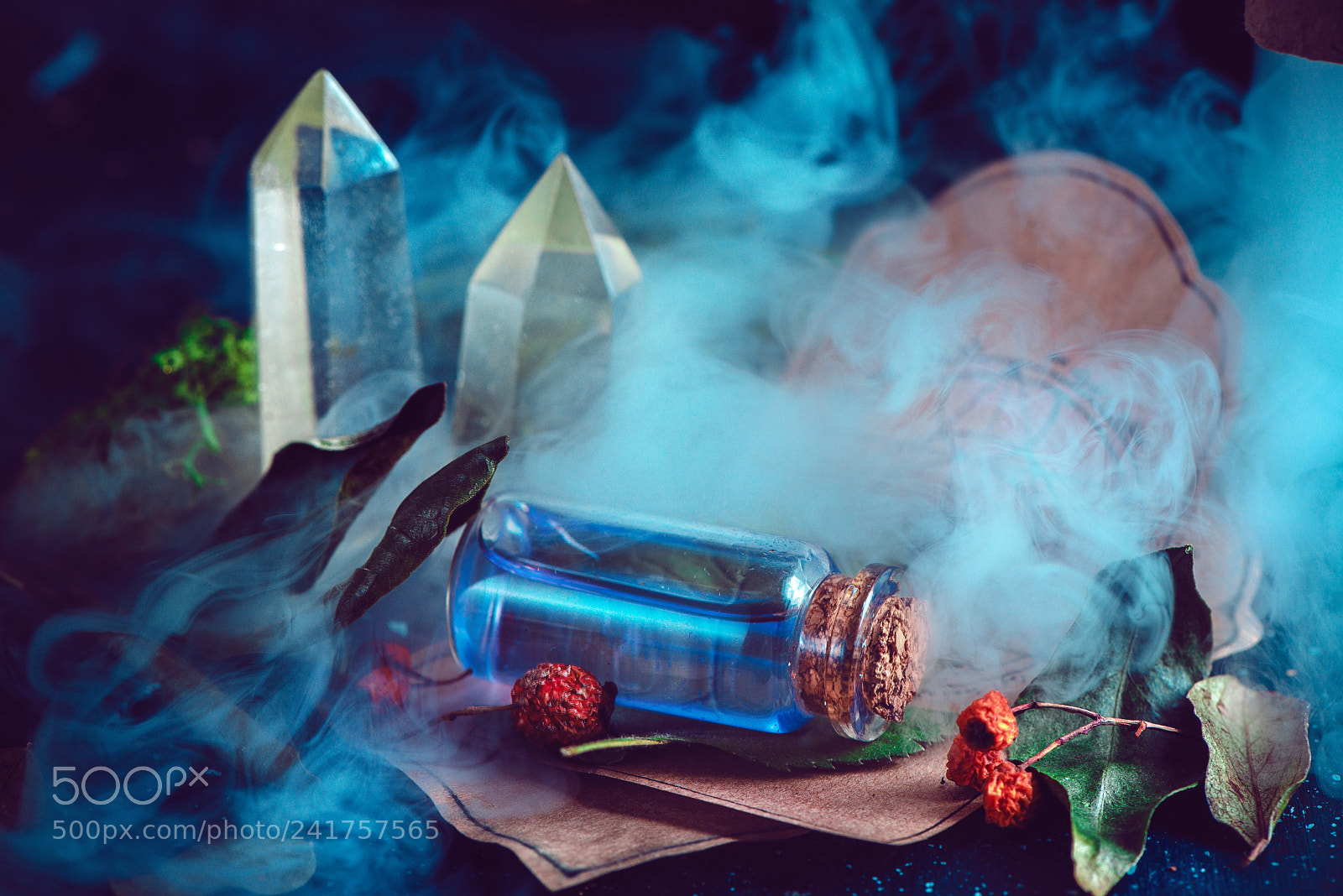 Nikon D800 sample photo. Magical still life with photography