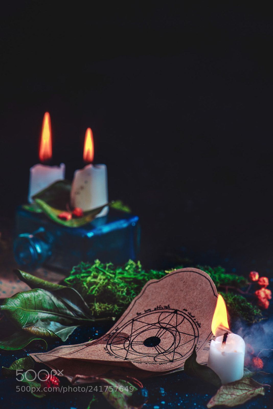 Nikon D800 sample photo. Magical still life with photography