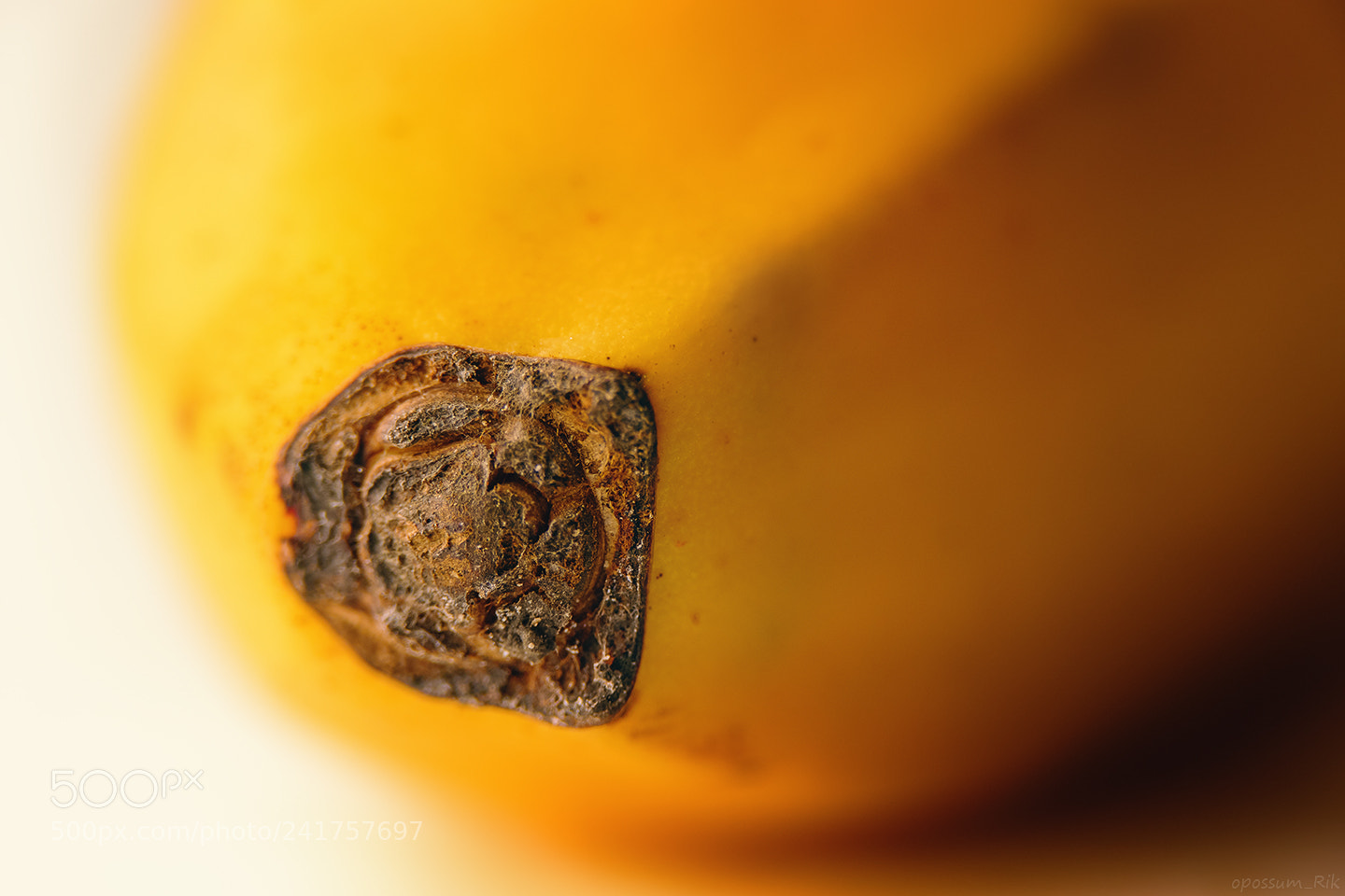 Panasonic Lumix DMC-FZ1000 sample photo. Banana macro photography