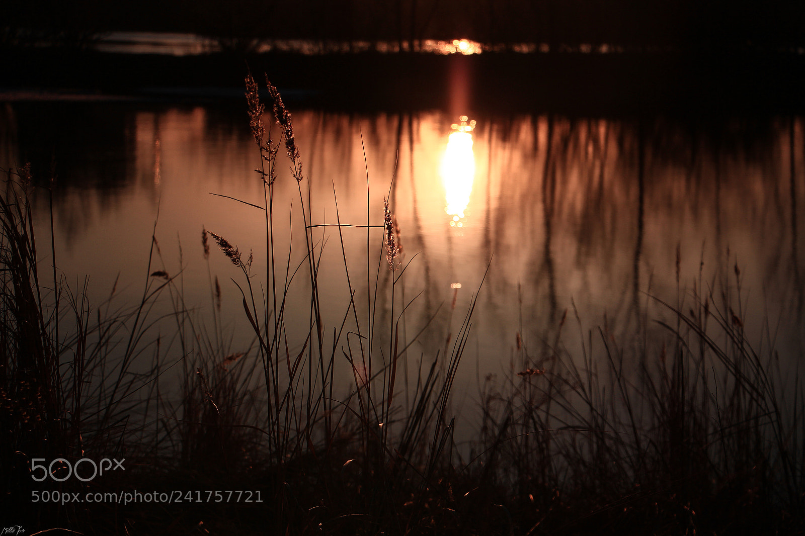 Canon EOS 60D sample photo. Img photography