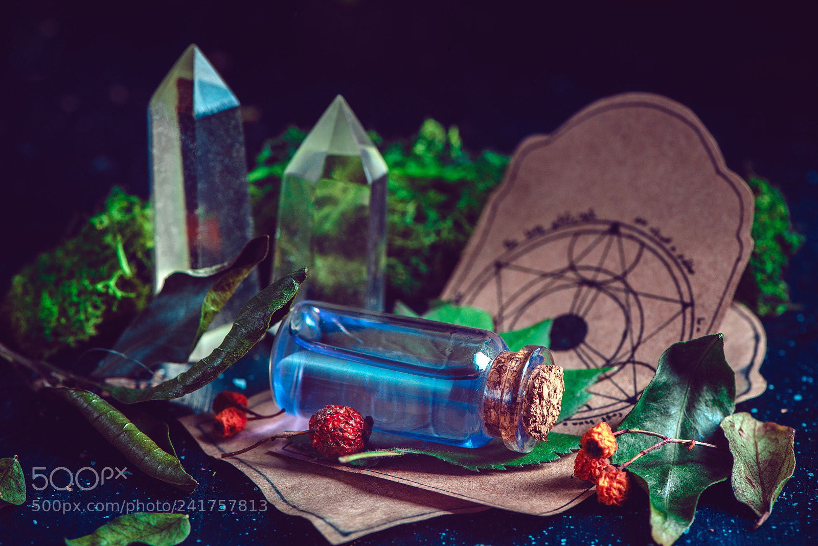Nikon D800 sample photo. Potion bottle with ingredients photography
