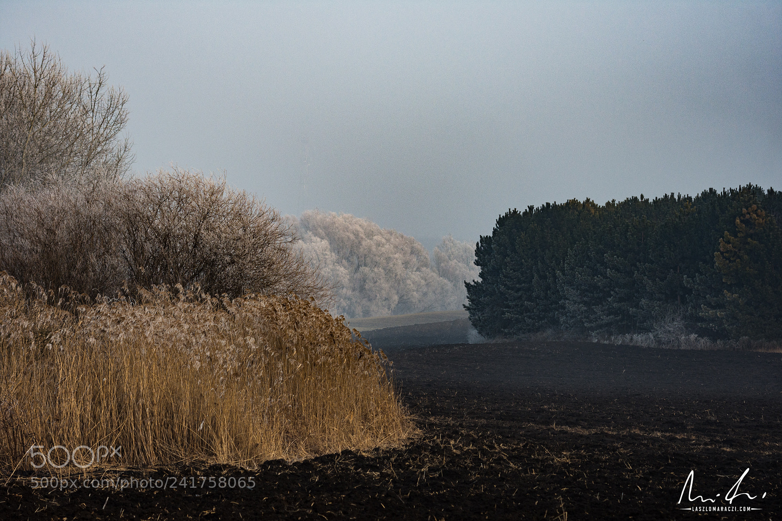 Nikon D7200 sample photo. Winter photography