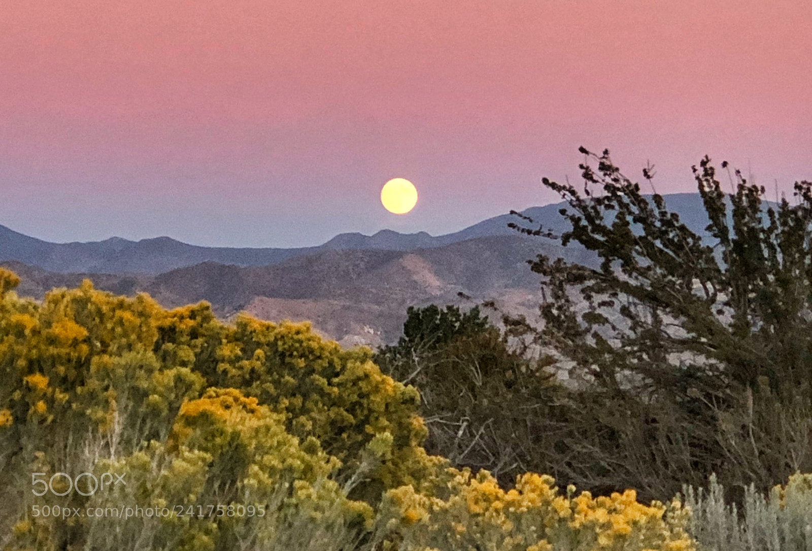 Apple iPhone 8 Plus sample photo. Carson city, nevada photography
