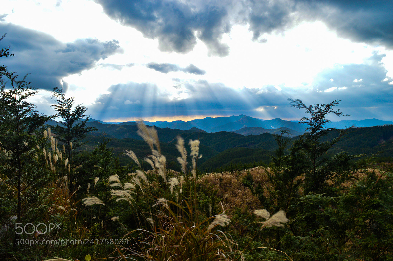 Nikon D3200 sample photo. Koyasan photography
