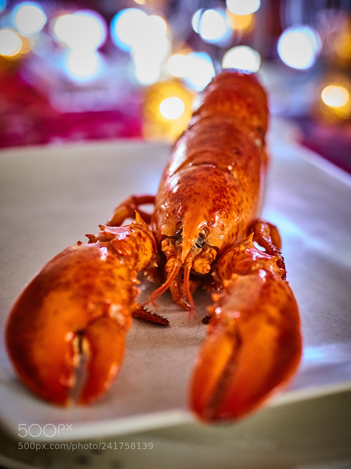 Panasonic Lumix DC-GH5 sample photo. Lobster photography