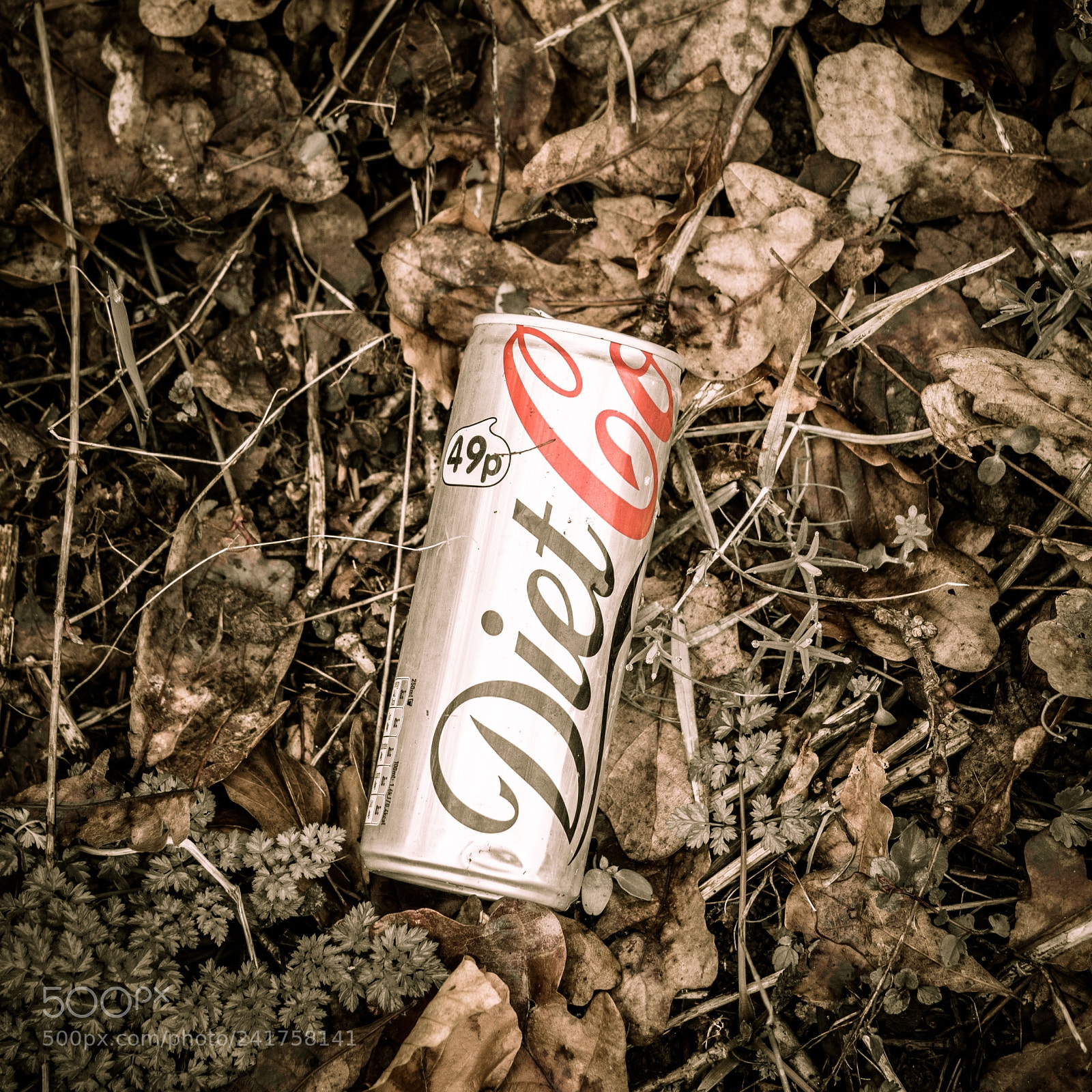 Olympus OM-D E-M10 II sample photo. Diet can photography