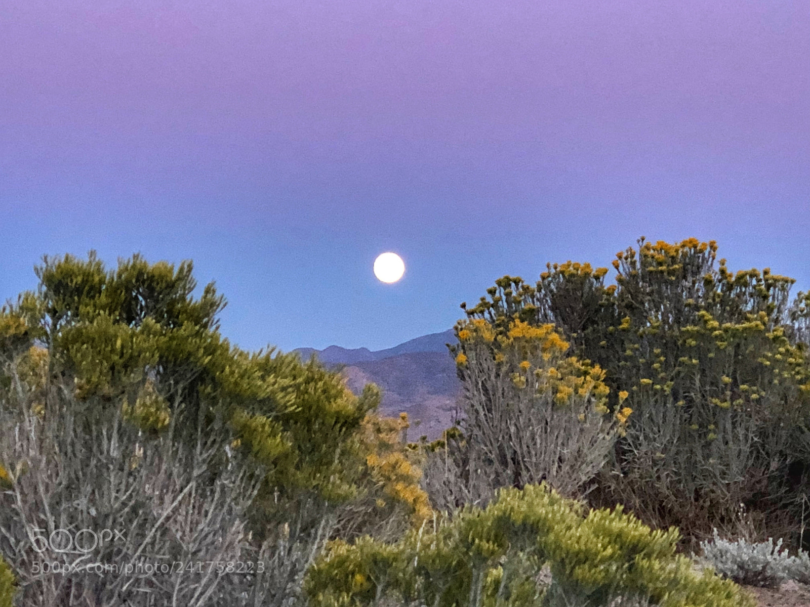 Apple iPhone 8 Plus sample photo. Carson city, nevada photography