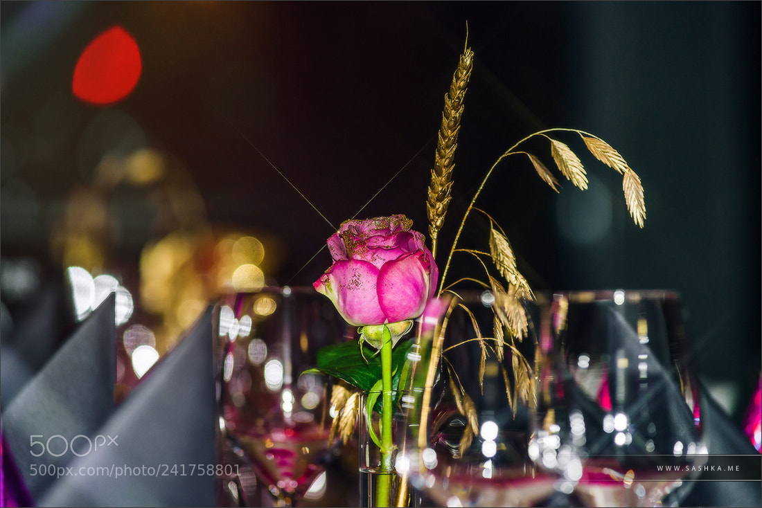 Sony Alpha a99 sample photo. Decorated tables in little photography