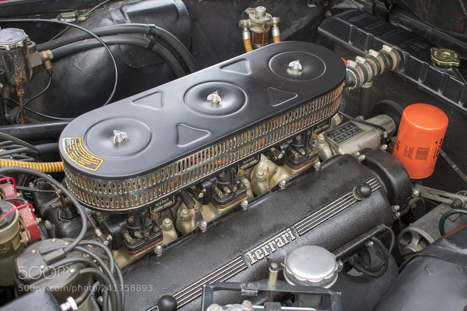 Nikon D3400 sample photo. Classic ferrari v12 engine photography