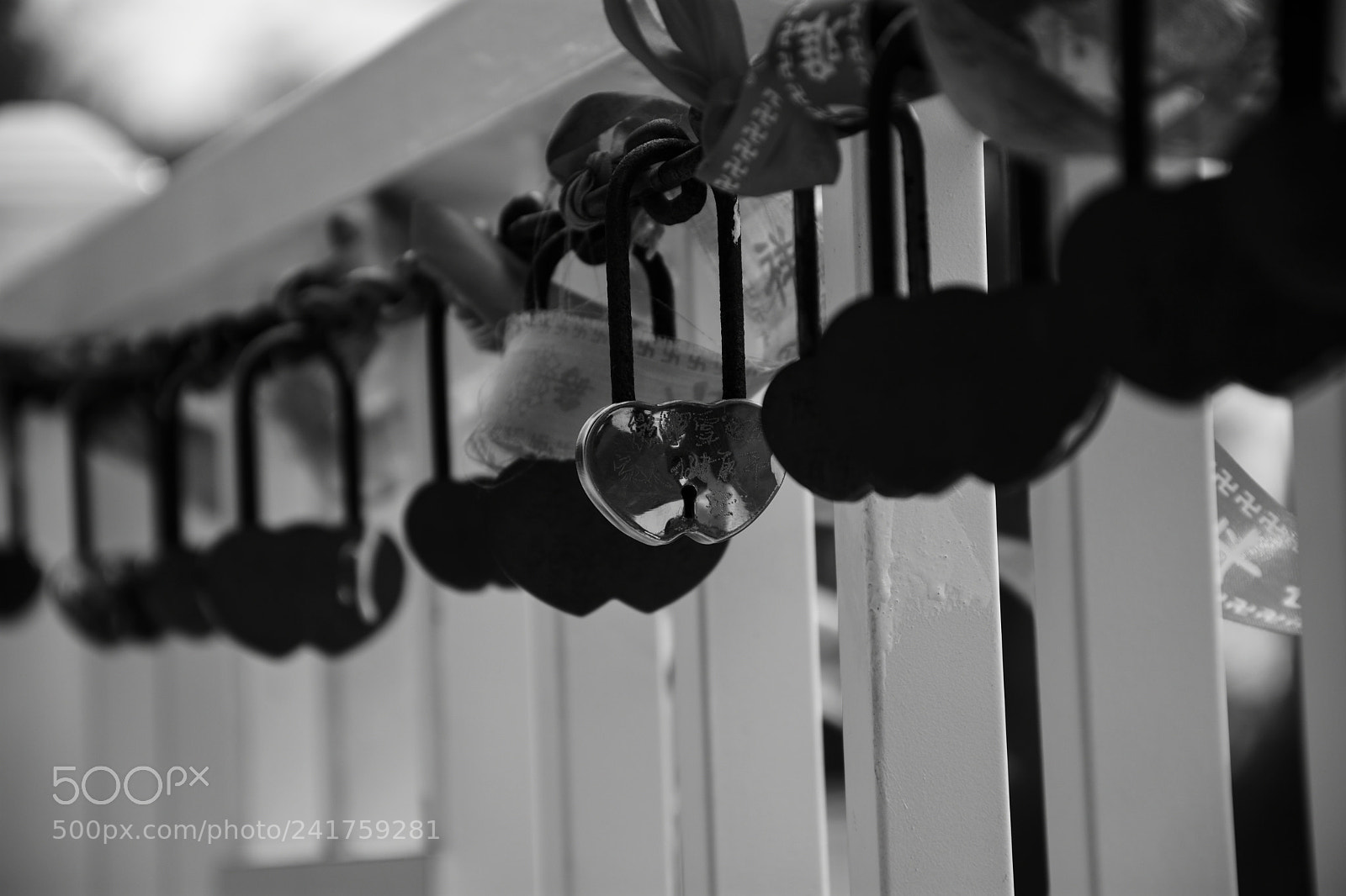 Nikon D7200 sample photo. Heart lock photography