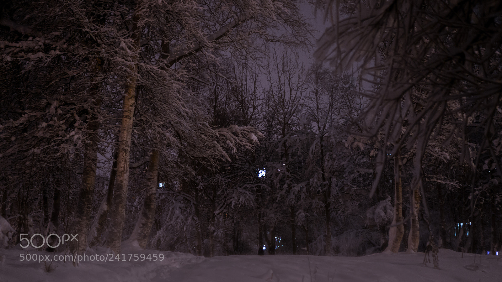 Sony Alpha NEX-6 sample photo. @apatity. photography
