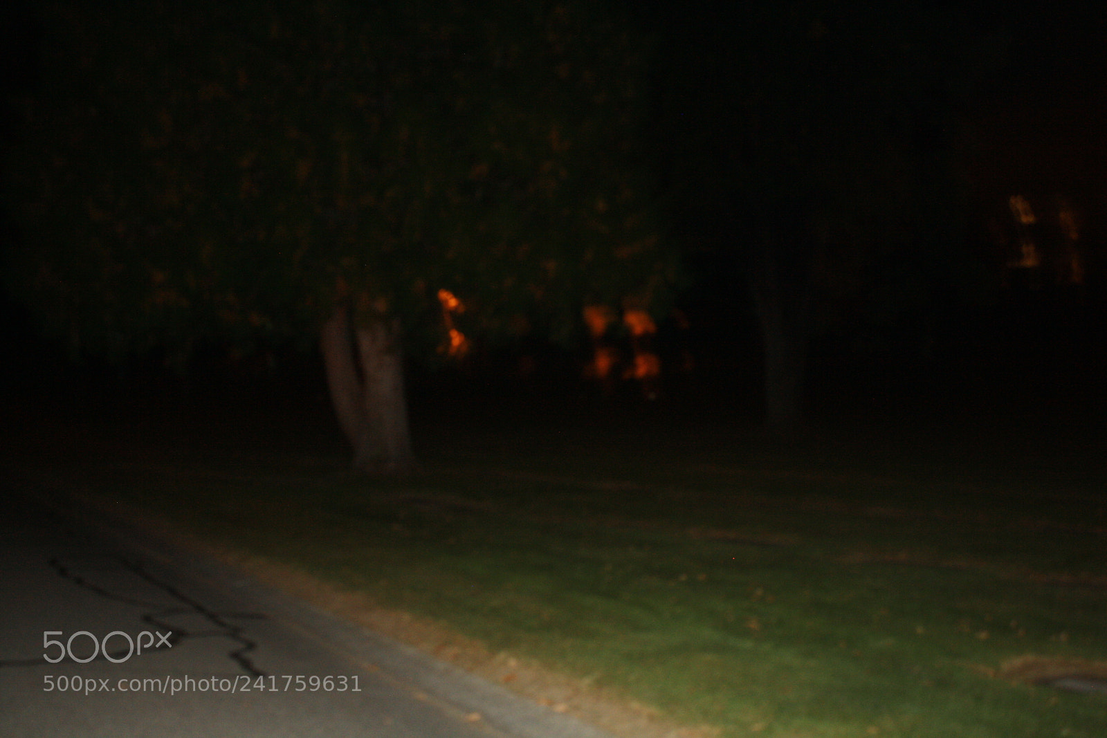 Canon EOS 1000D (EOS Digital Rebel XS / EOS Kiss F) sample photo. Paranormal photography raw captured photography
