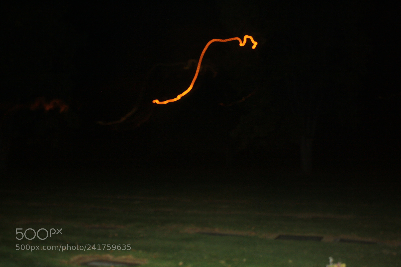 Canon EOS 1000D (EOS Digital Rebel XS / EOS Kiss F) sample photo. Paranormal photography raw captured photography