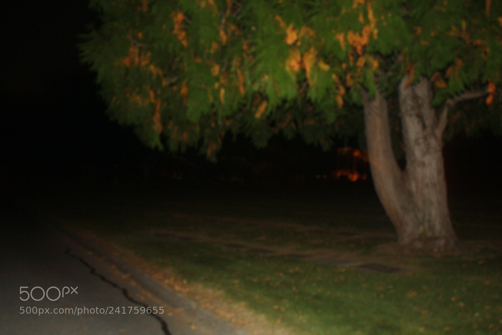 Canon EOS 1000D (EOS Digital Rebel XS / EOS Kiss F) sample photo. Paranormal photography raw captured photography