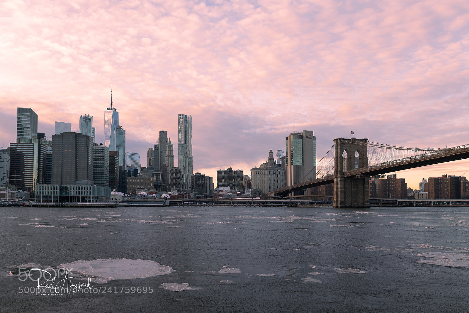 Nikon D850 sample photo. Icy east river at photography