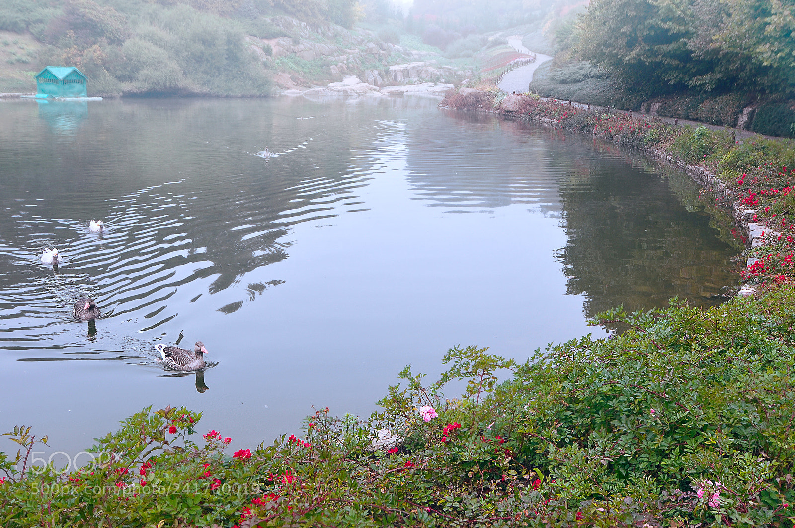 Nikon D300 sample photo. Утро туманное photography