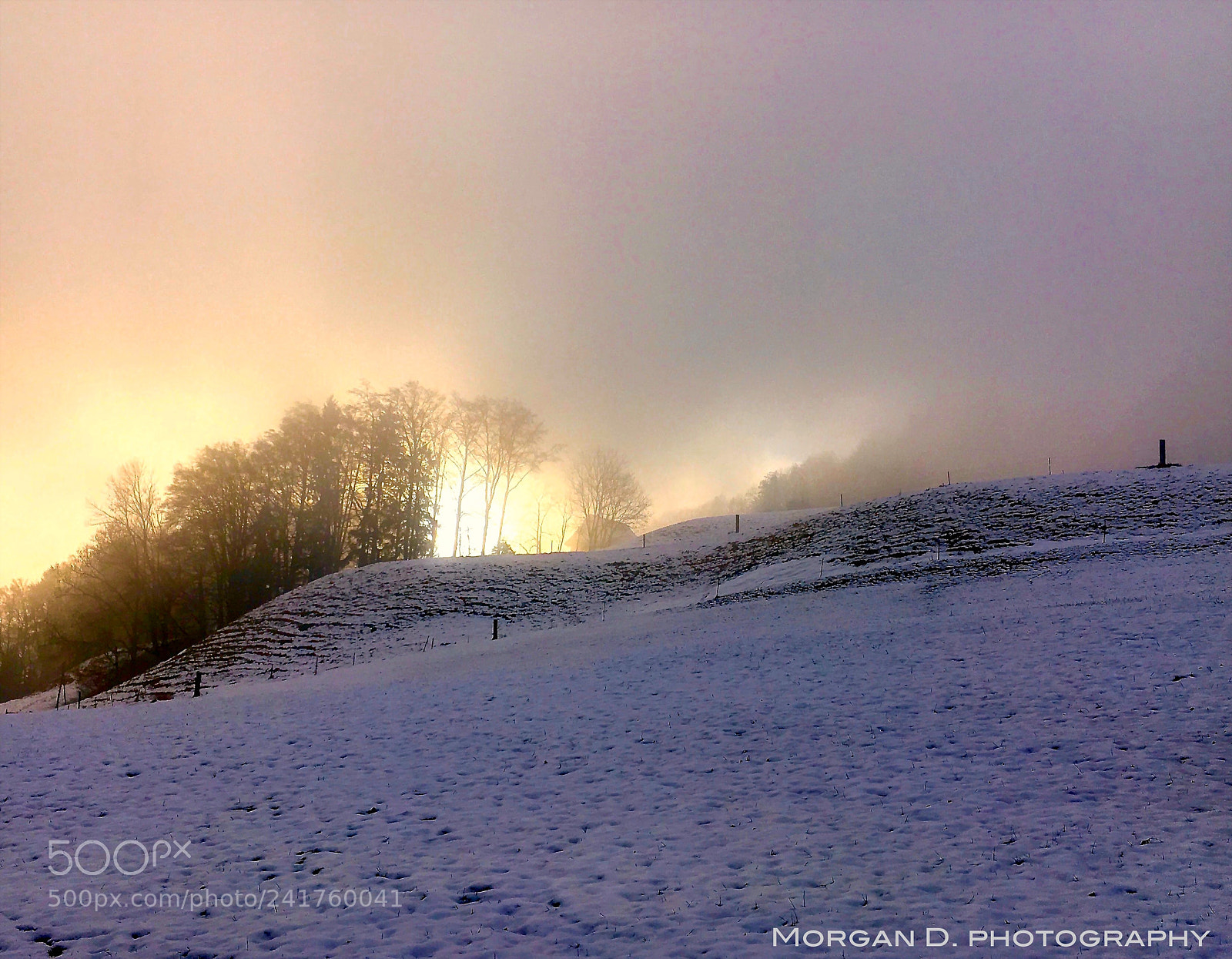 Apple iPhone 6s sample photo. Misty winter wonderland photography