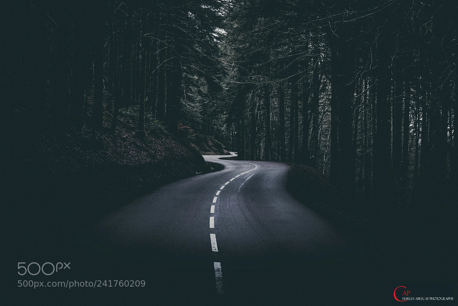 Pentax K-1 sample photo. Road trip - for photography