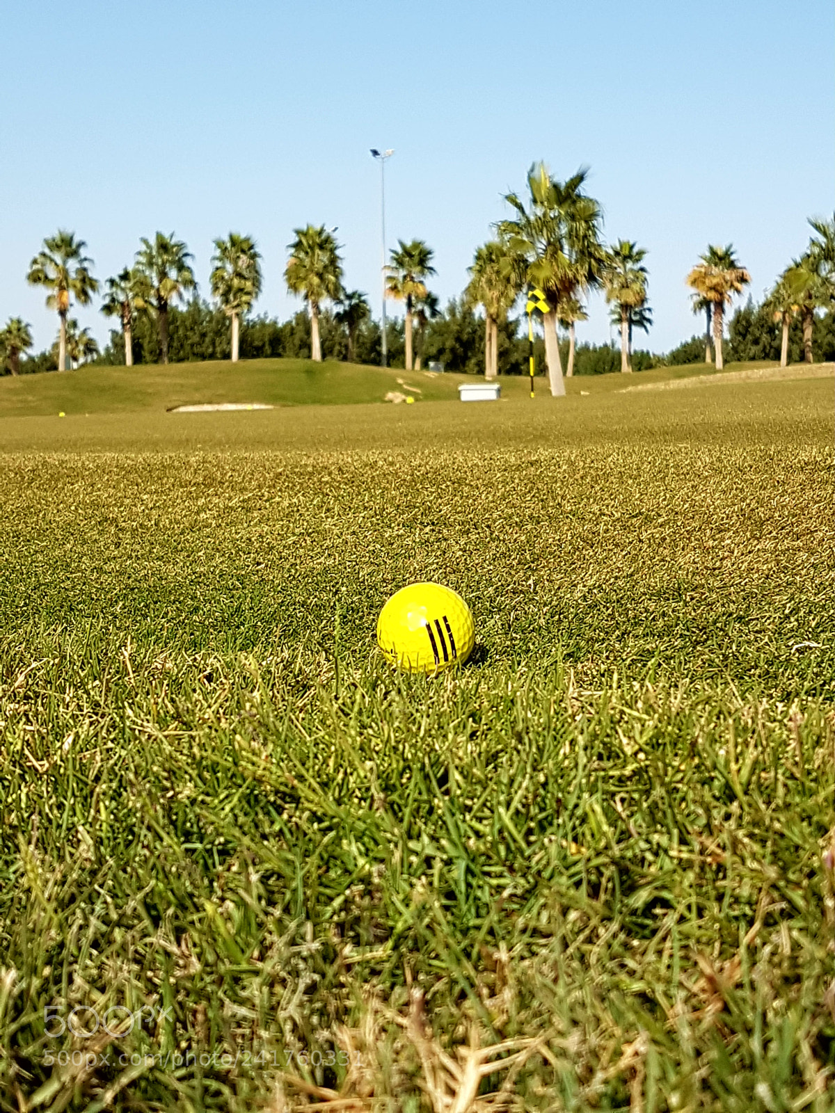 Samsung Galaxy S7 sample photo. Do it photography