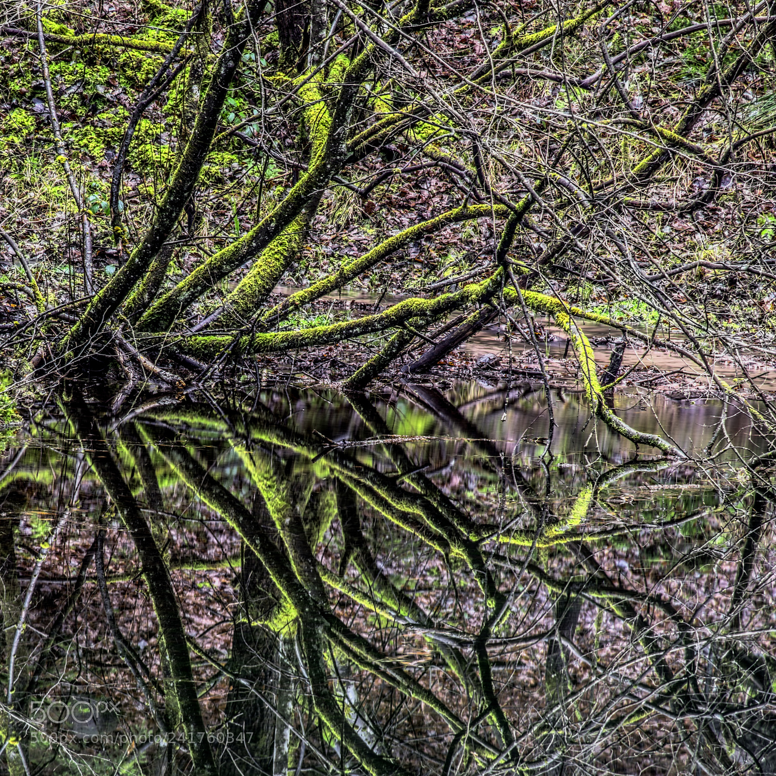 Nikon D7100 sample photo. Pond15 photography