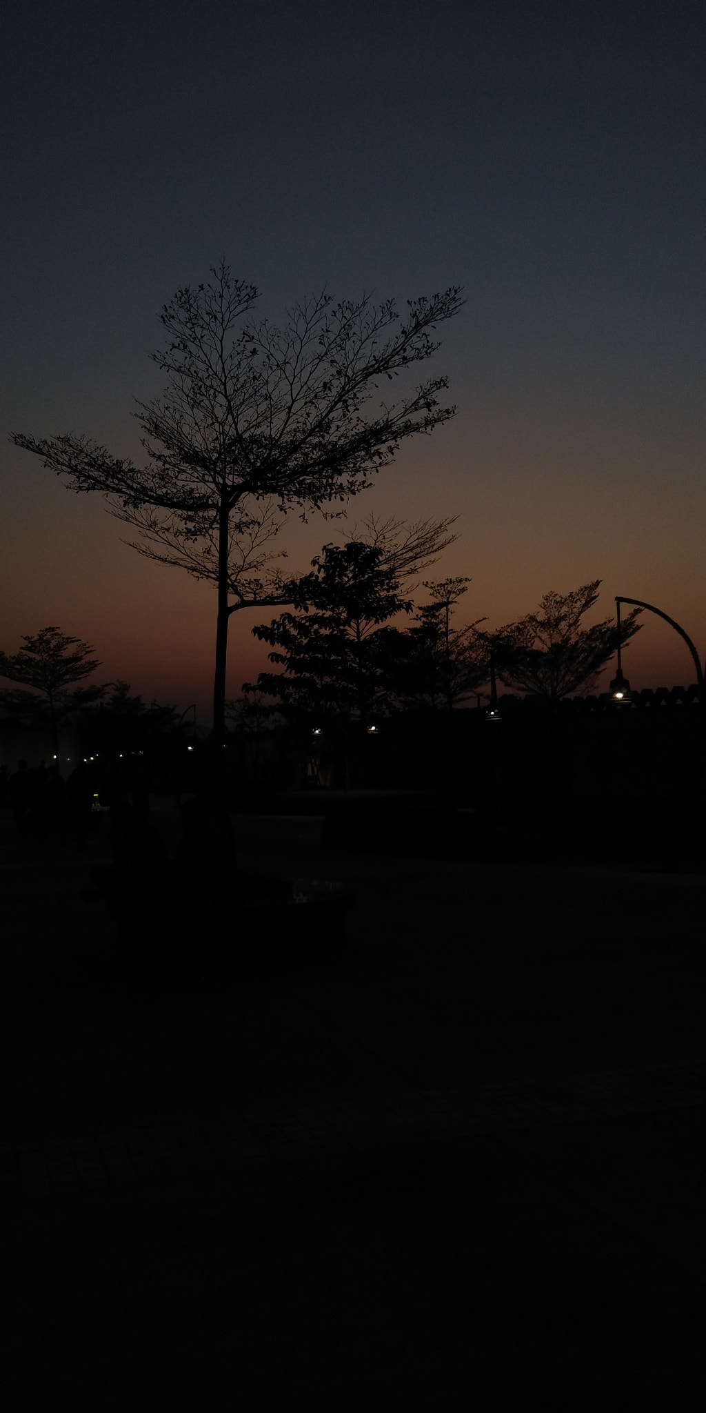 vivo 1716 sample photo. Dusk photography