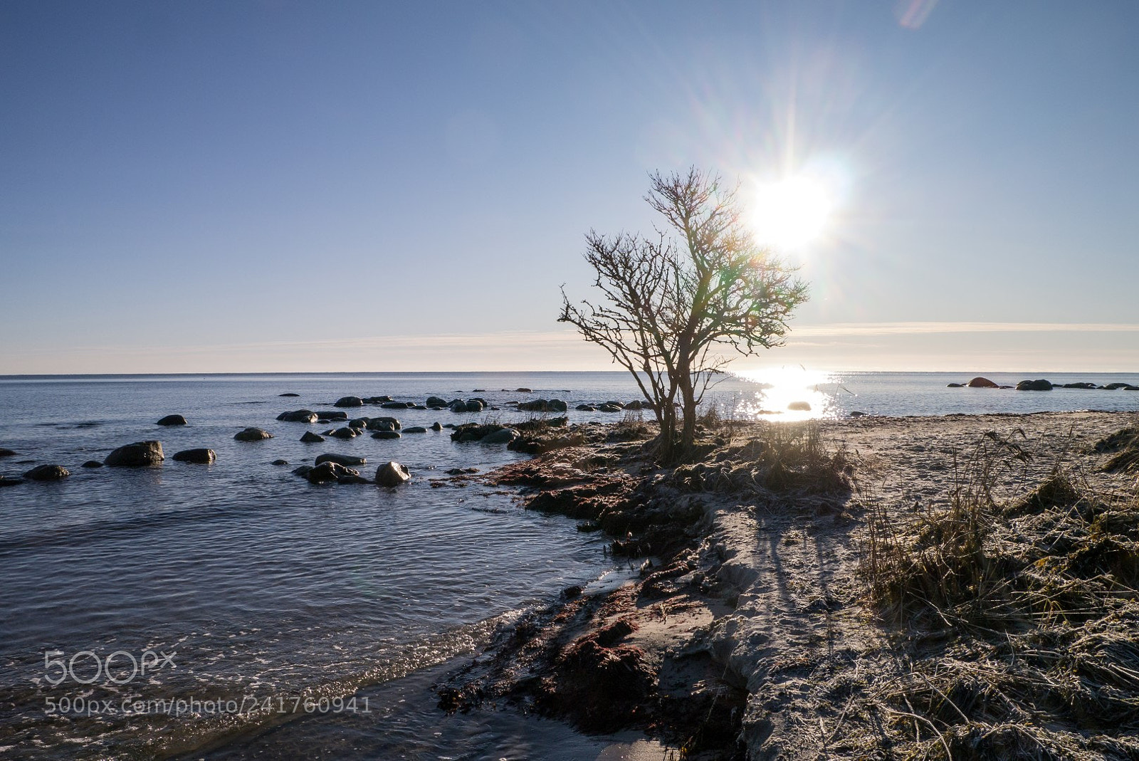 Panasonic Lumix DMC-GX1 sample photo. Walking along the shoreline photography