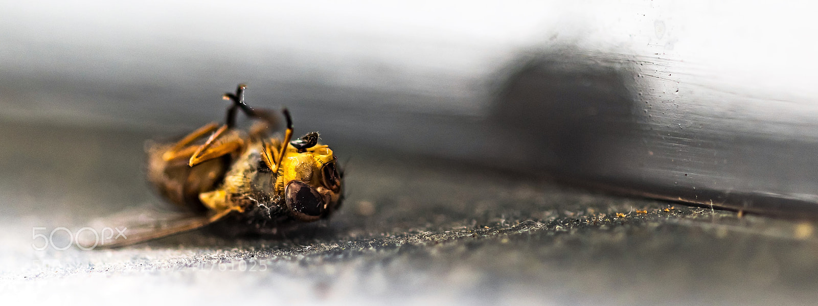 Nikon D810 sample photo. And you thought yout photography