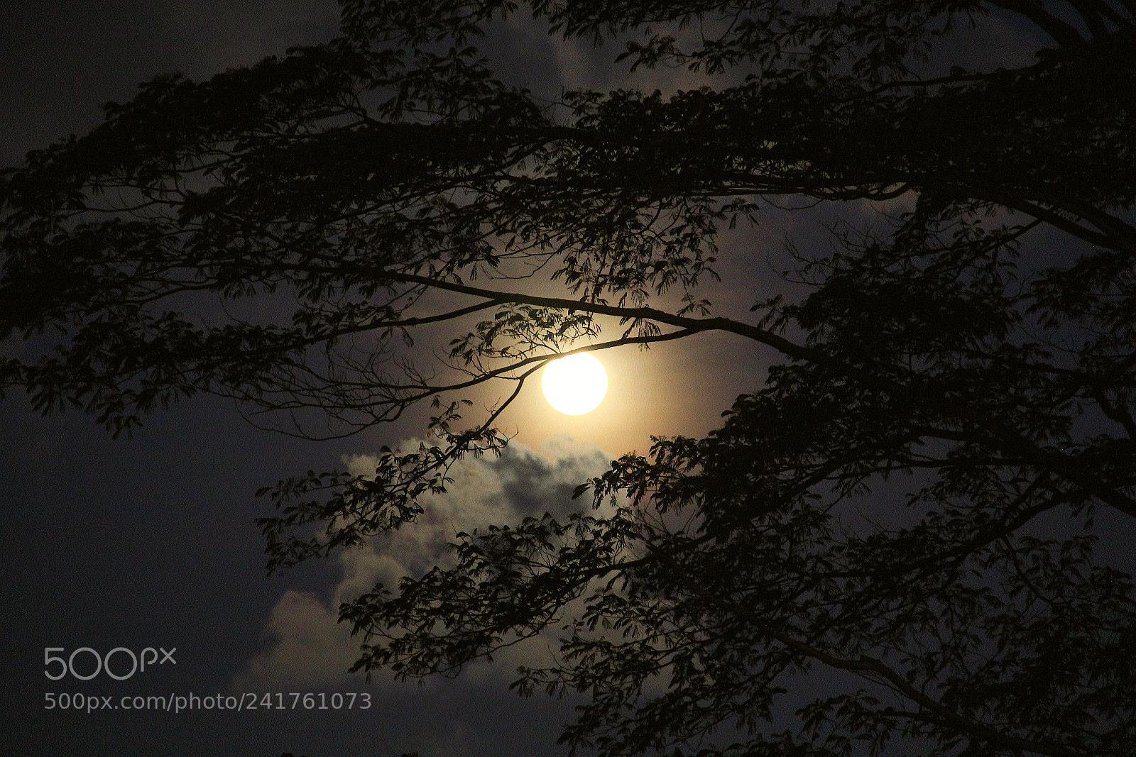 Canon EF-S 18-135mm F3.5-5.6 IS sample photo. Moonlight photography