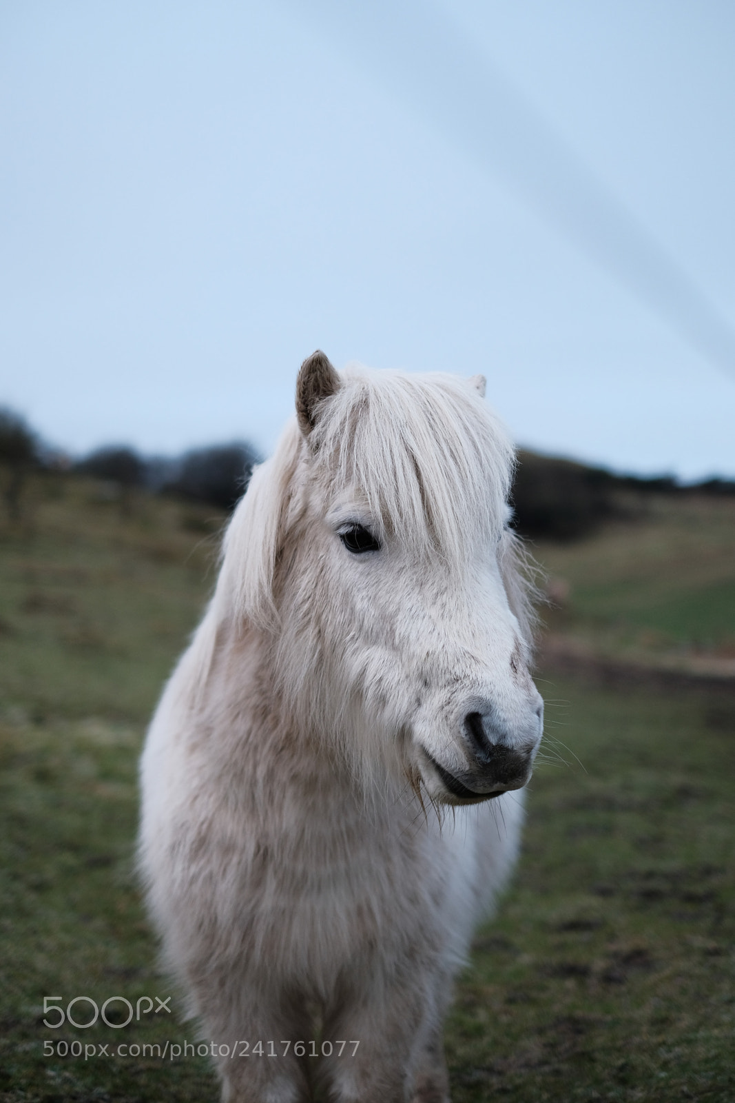Fujifilm X-E3 sample photo. Nationalpark mols bjerge photography