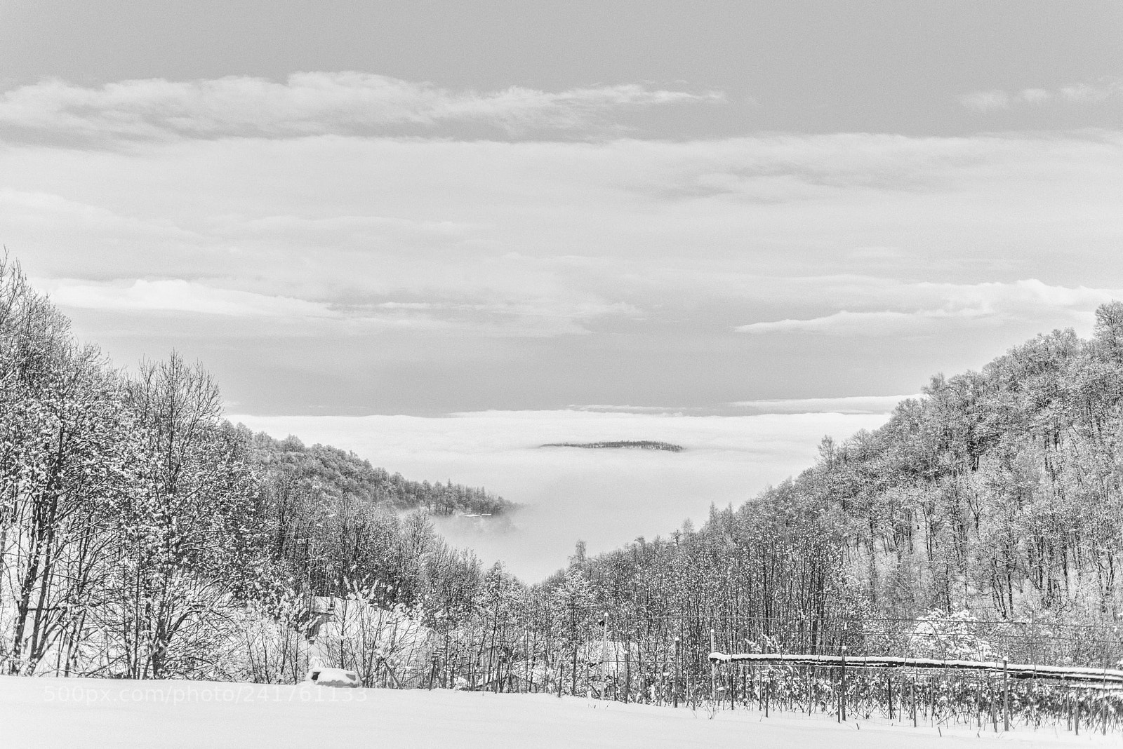 Nikon D800 sample photo. Island photography