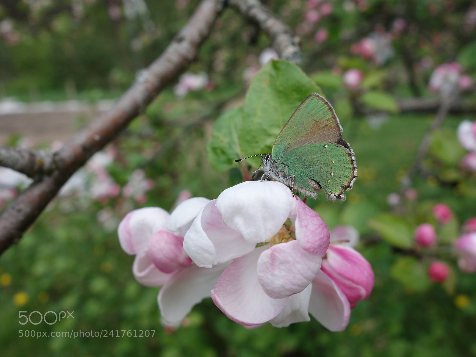 Sony Cyber-shot DSC-RX100 sample photo. Hidden photography