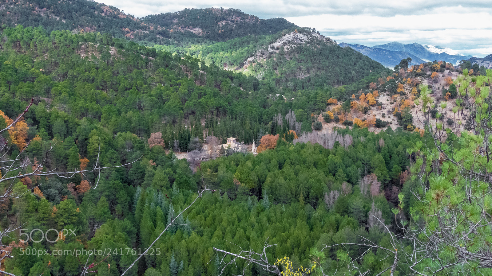 Panasonic Lumix DMC-FZ200 sample photo. "las palomas" viewpoint photography