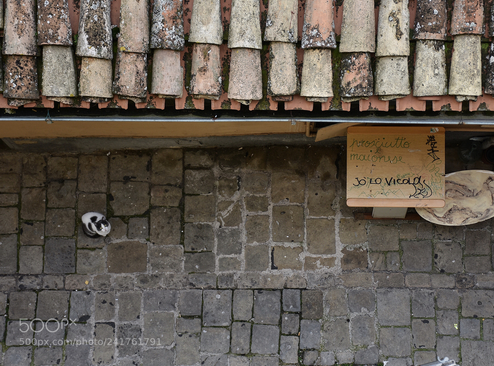 Nikon D7200 sample photo. Vita e avanzi di photography