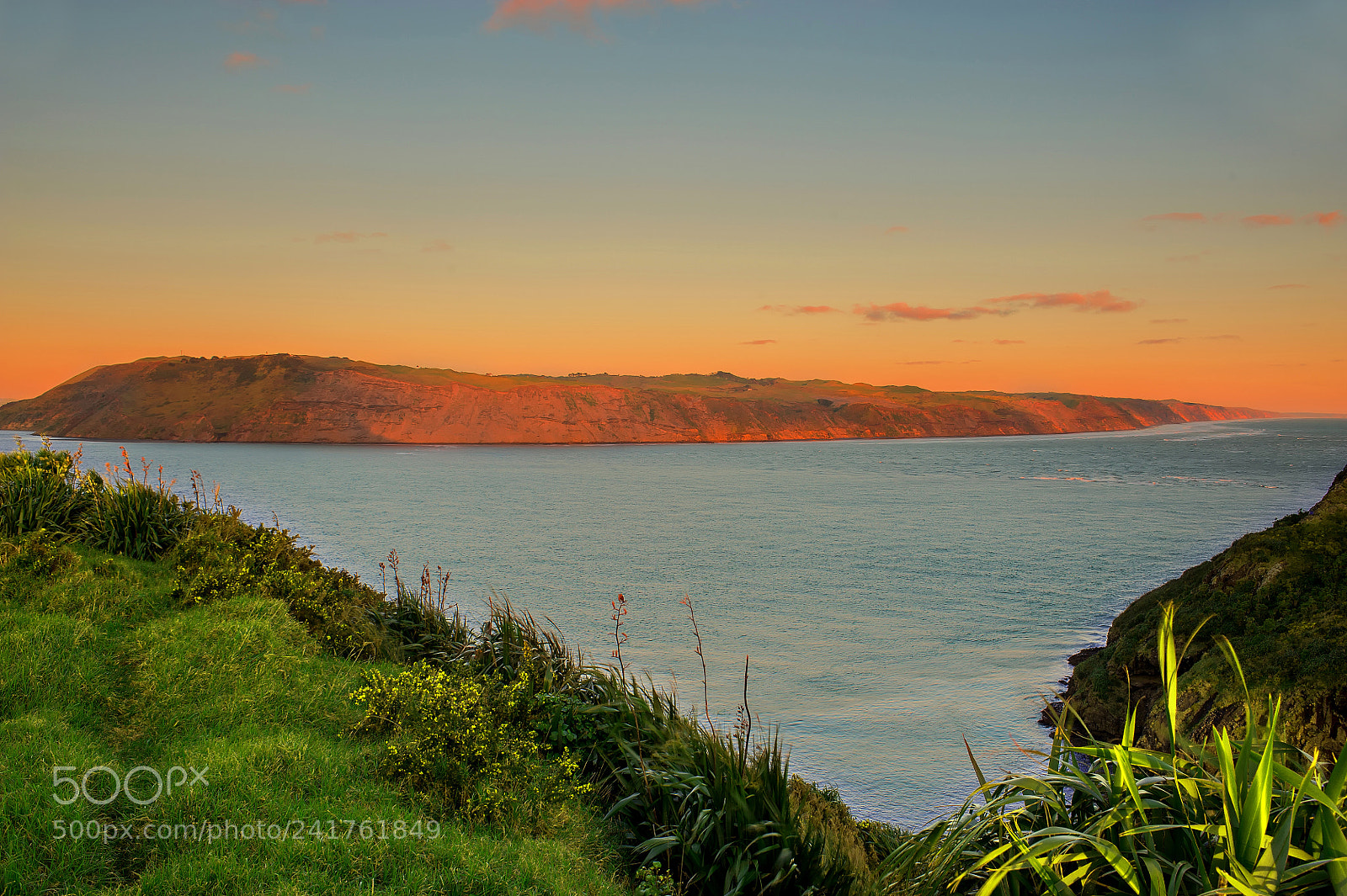 Nikon D700 sample photo. Manukau heads photography