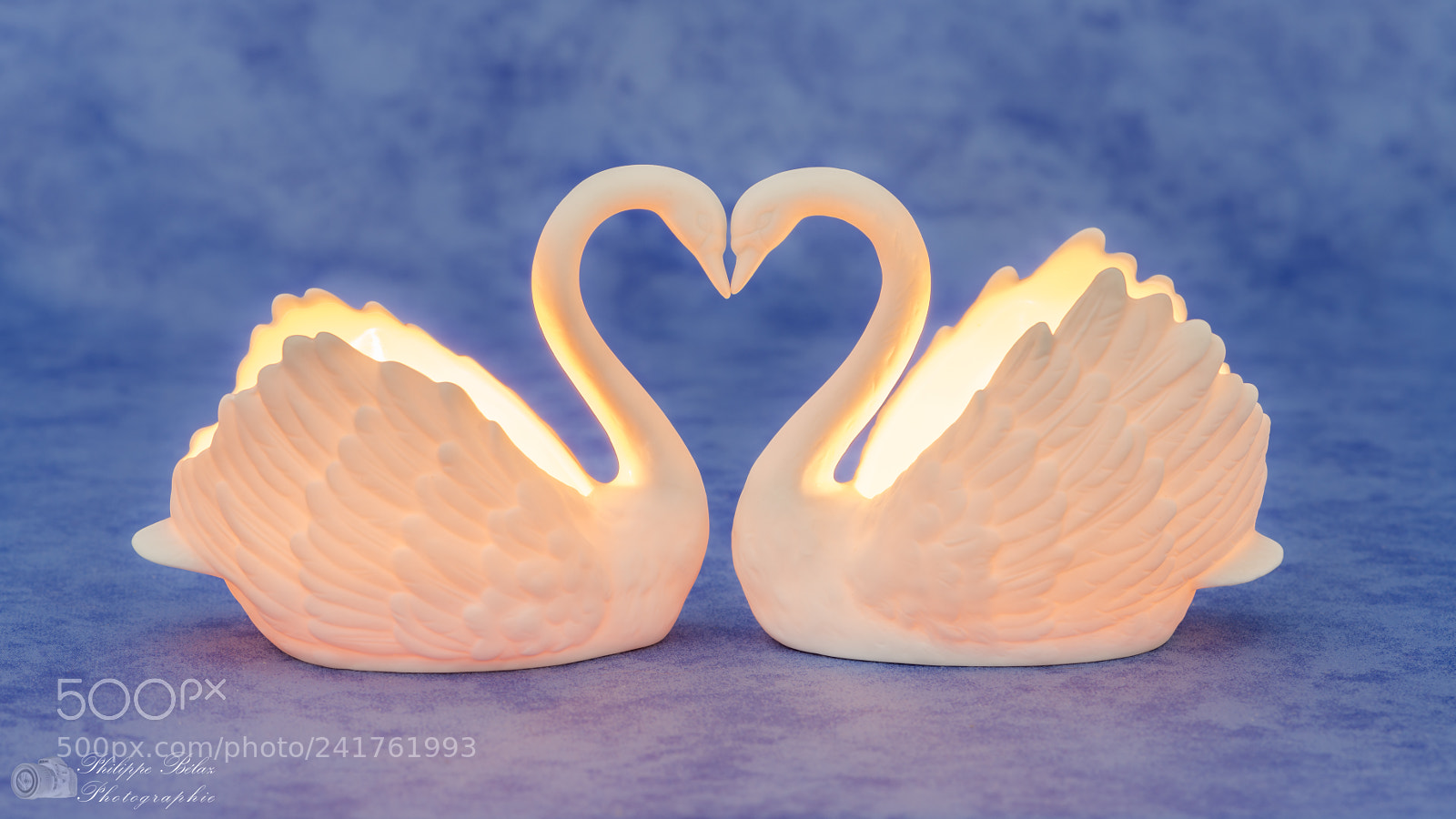 Nikon D800E sample photo. Coeur de cygne c photography
