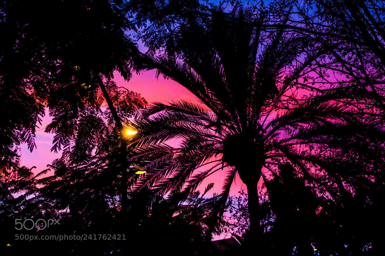Nikon D7100 sample photo. Untitled photography