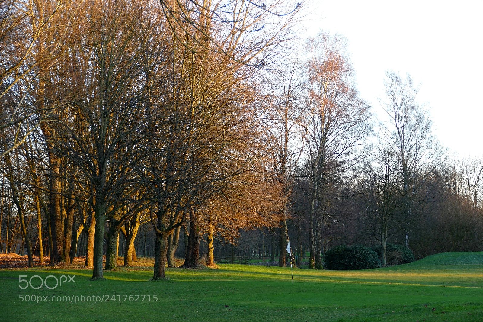 Panasonic Lumix DMC-FZ1000 sample photo. Par-3 hole photography