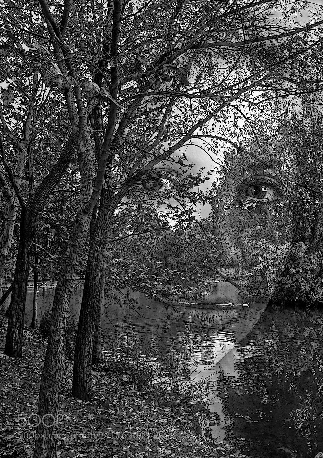 Nikon D70 sample photo. The lady photography