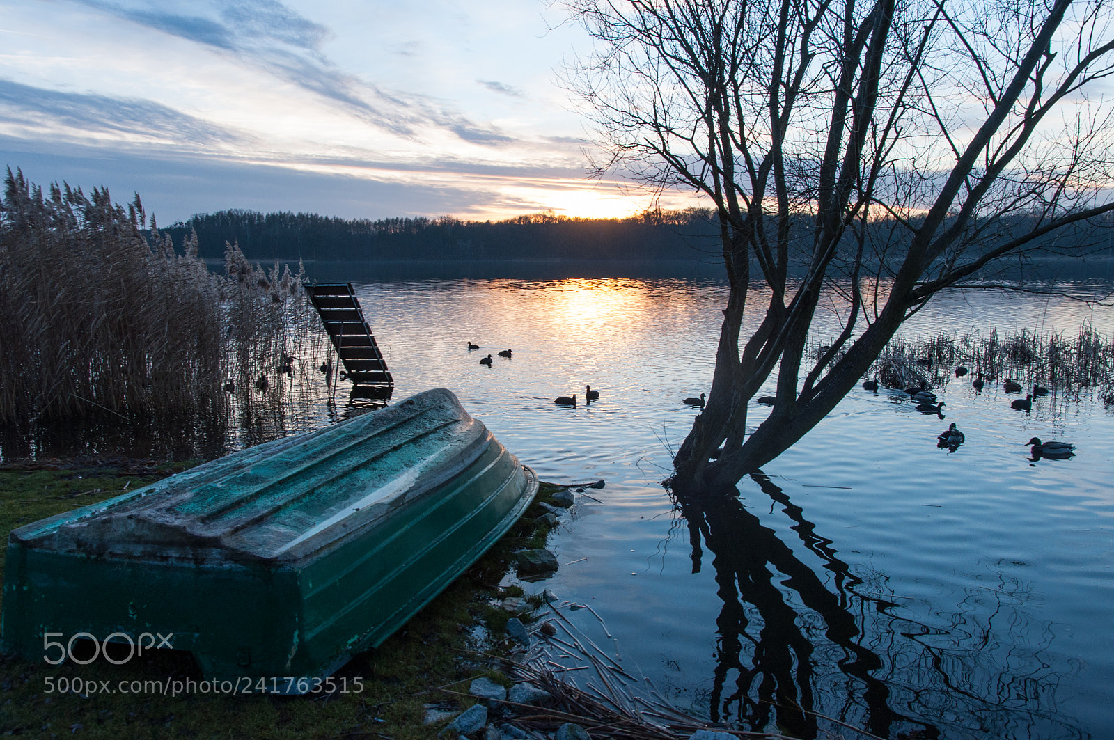 Nikon D90 sample photo. Boat & ducks at sunset photography