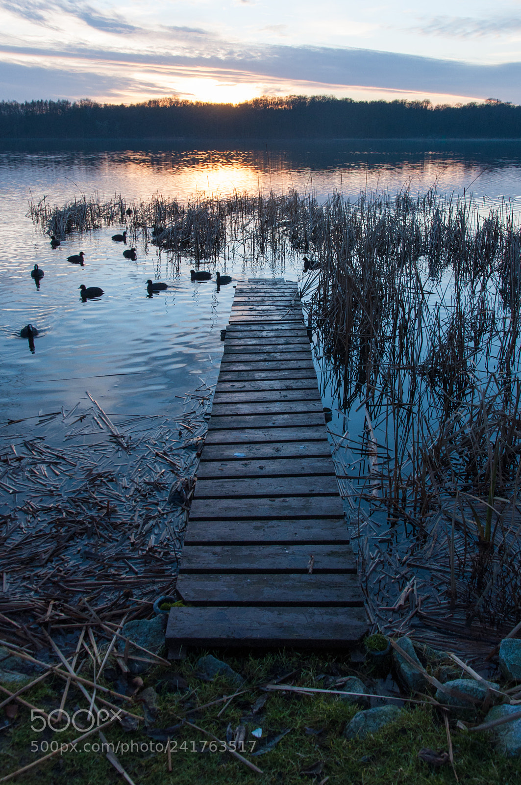 Nikon D90 sample photo. Jetty & ducks at sunset photography