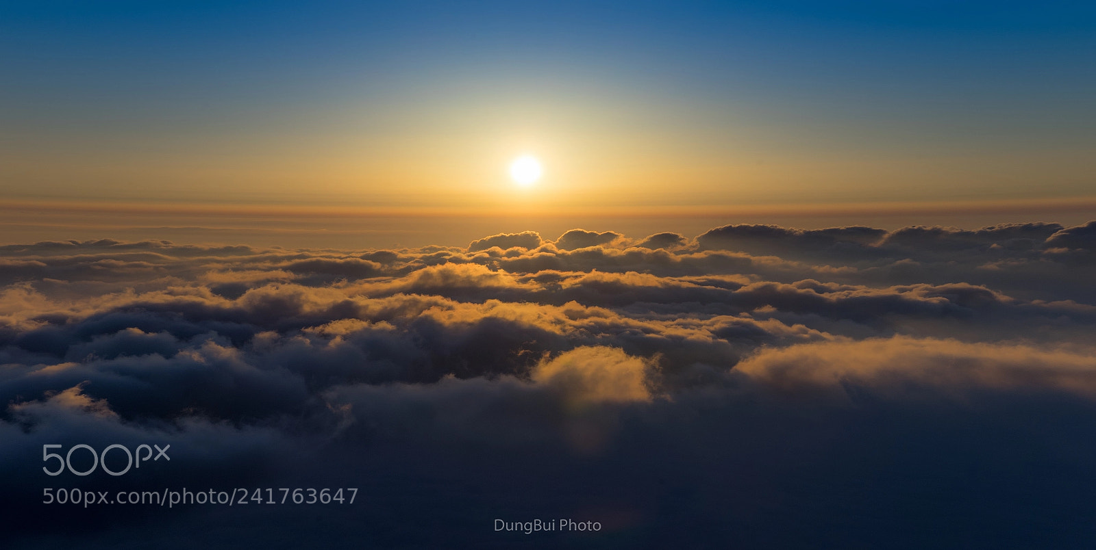 Sony a7 II sample photo. 14 photography