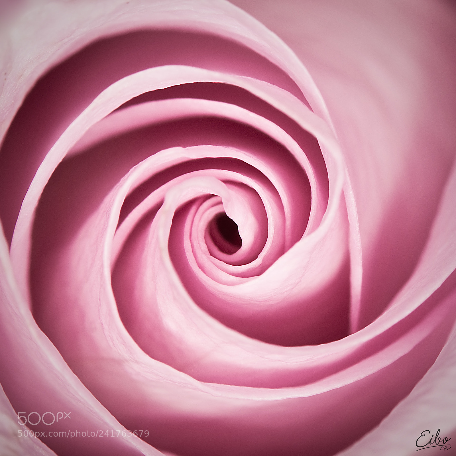 Canon EOS 50D sample photo. The fibonacci photography