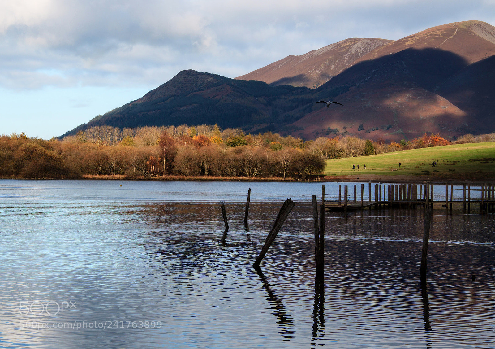 Canon EOS 500D (EOS Rebel T1i / EOS Kiss X3) sample photo. Skiddaw photography