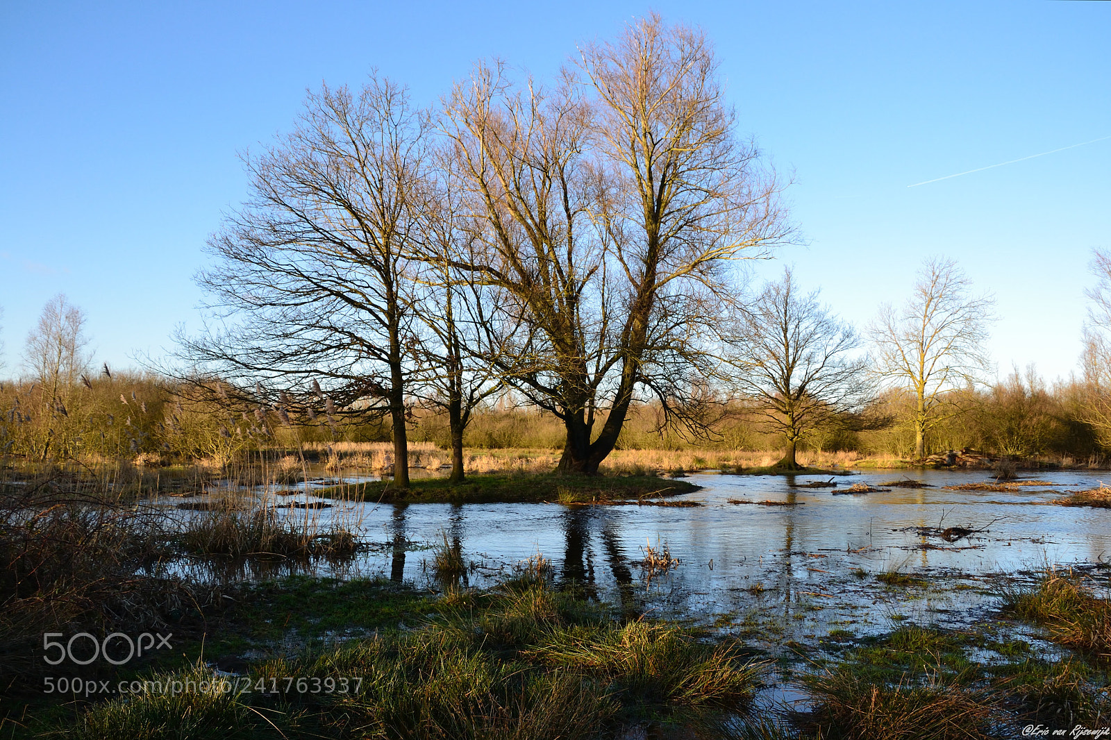 Nikon D3100 sample photo. High water photography